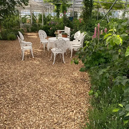 Luxury tent Luxe Glamping Tent Met Sterrenhemel